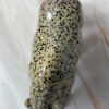 Dalmatian Stone Horse Carving - Image 10