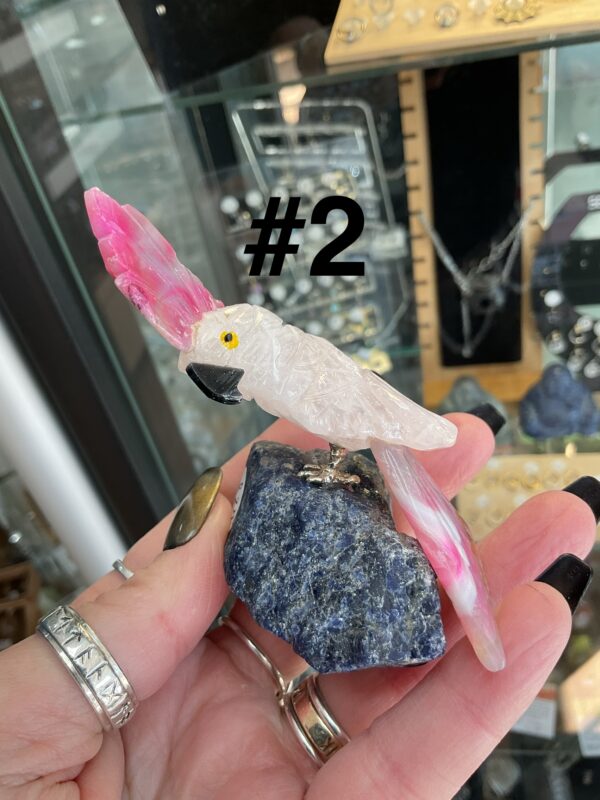 Crystal Parrot (Mixed) - Image 4