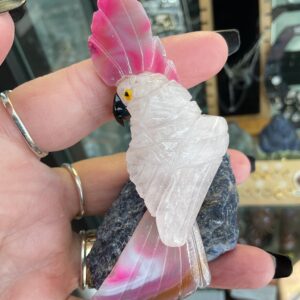 Crystal Parrot (Mixed)