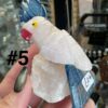 Crystal Parrot (Mixed) - Image 10
