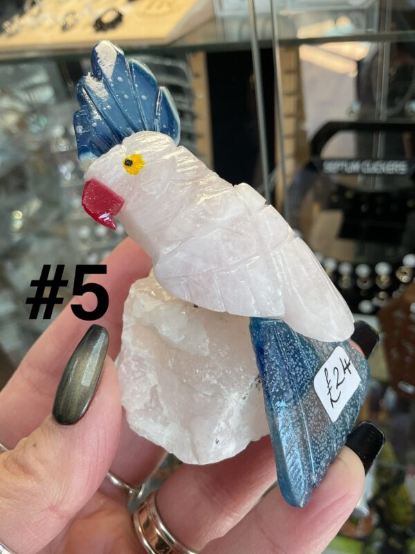 Crystal Parrot (Mixed) - Image 10