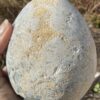 Celestite Egg - Image 6