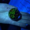 Willemite, Franklinite & Calcite Sphere - Image 5
