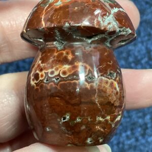 Ocean Jasper Mushroom