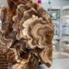 Chocolate Calcite Dragon on Castle Carving - Image 7