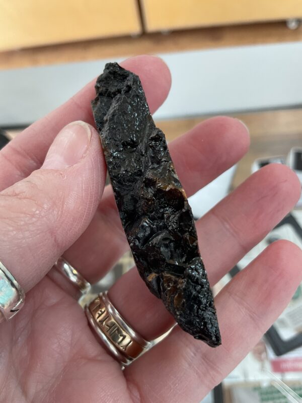 Mammoth Tooth Cross-Section - Image 5