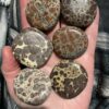 Spherulite Flat Stone - Image 2