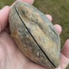 Septarian “Thunder Egg” Nodule - Image 5
