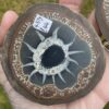 Septarian “Thunder Egg” Nodule - Image 3