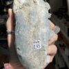 Celestite Standing Freeform - Image 13