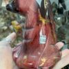Large Mookaite Jasper Witch’s Hat Carving - Image 5