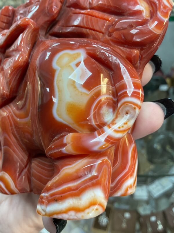 Carnelian Elephant Carving - Image 7