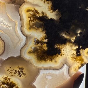 Indonesian Scenic Moss Agate Slice