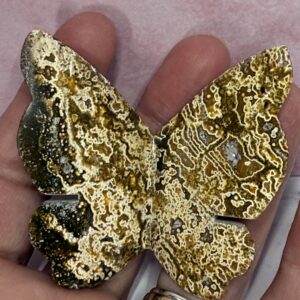 Indonesian Orbicular Jasper 3D Butterfly