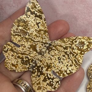 Indonesian Orbicular Jasper 3D Butterfly