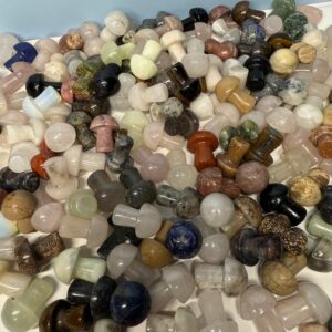 3 x Mixed Mini Mushrooms