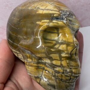 Petrified Wood Skull Carving