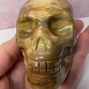 Petrified Wood Skull Carving