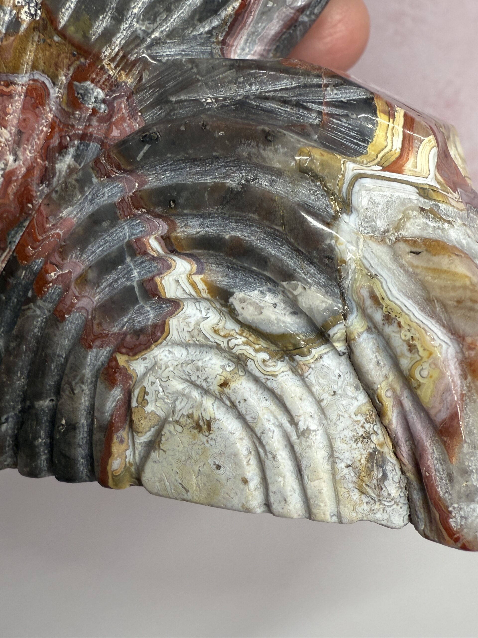 Crazy Lace Agate Bird Carving - Image 7