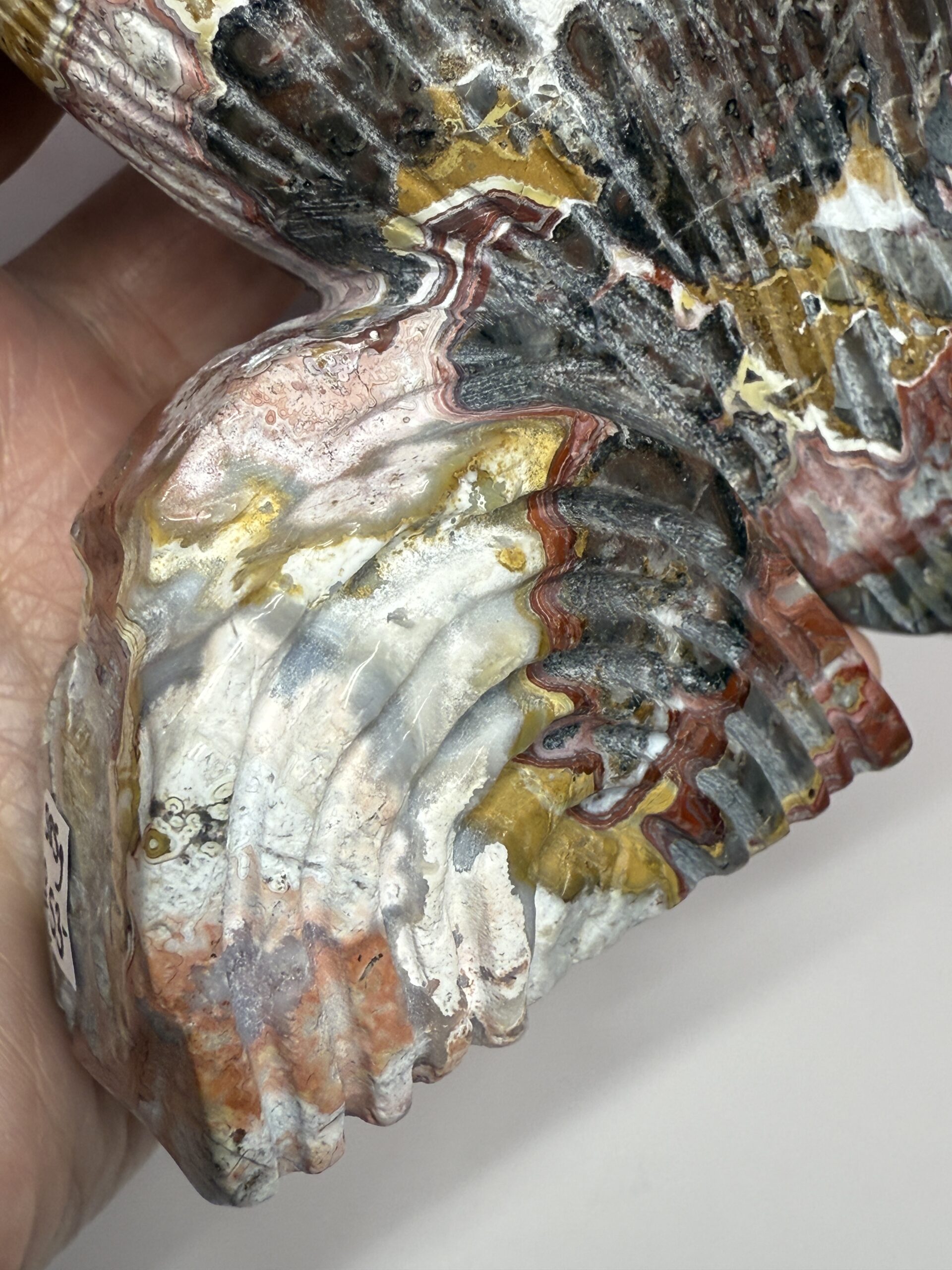 Crazy Lace Agate Bird Carving - Image 6