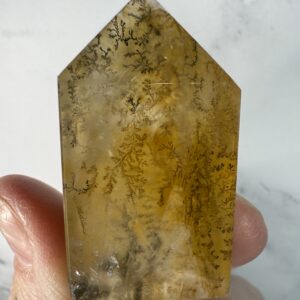 Dendritic Golden Healer Tower