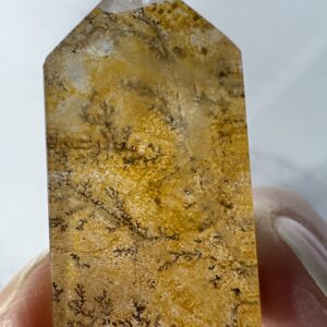 Dendritic Golden Healer Tower