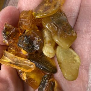 Baltic Amber Natural Tumble
