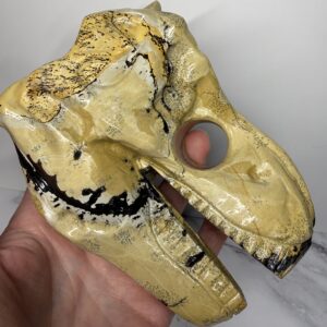 Picture Jasper T-Rex Skull Carving
