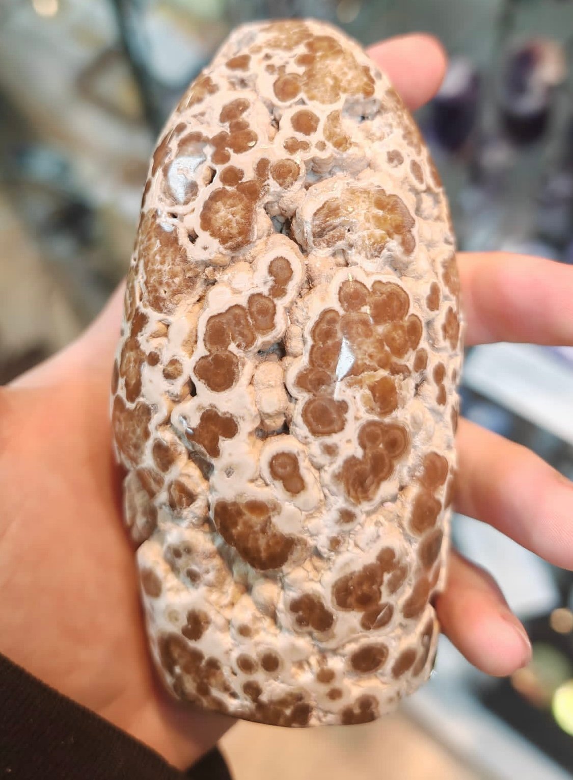 Chocolate Calcite Freeform - Image 3