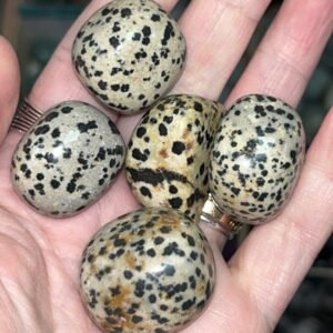 Dalmatian Jasper Tumble Stone