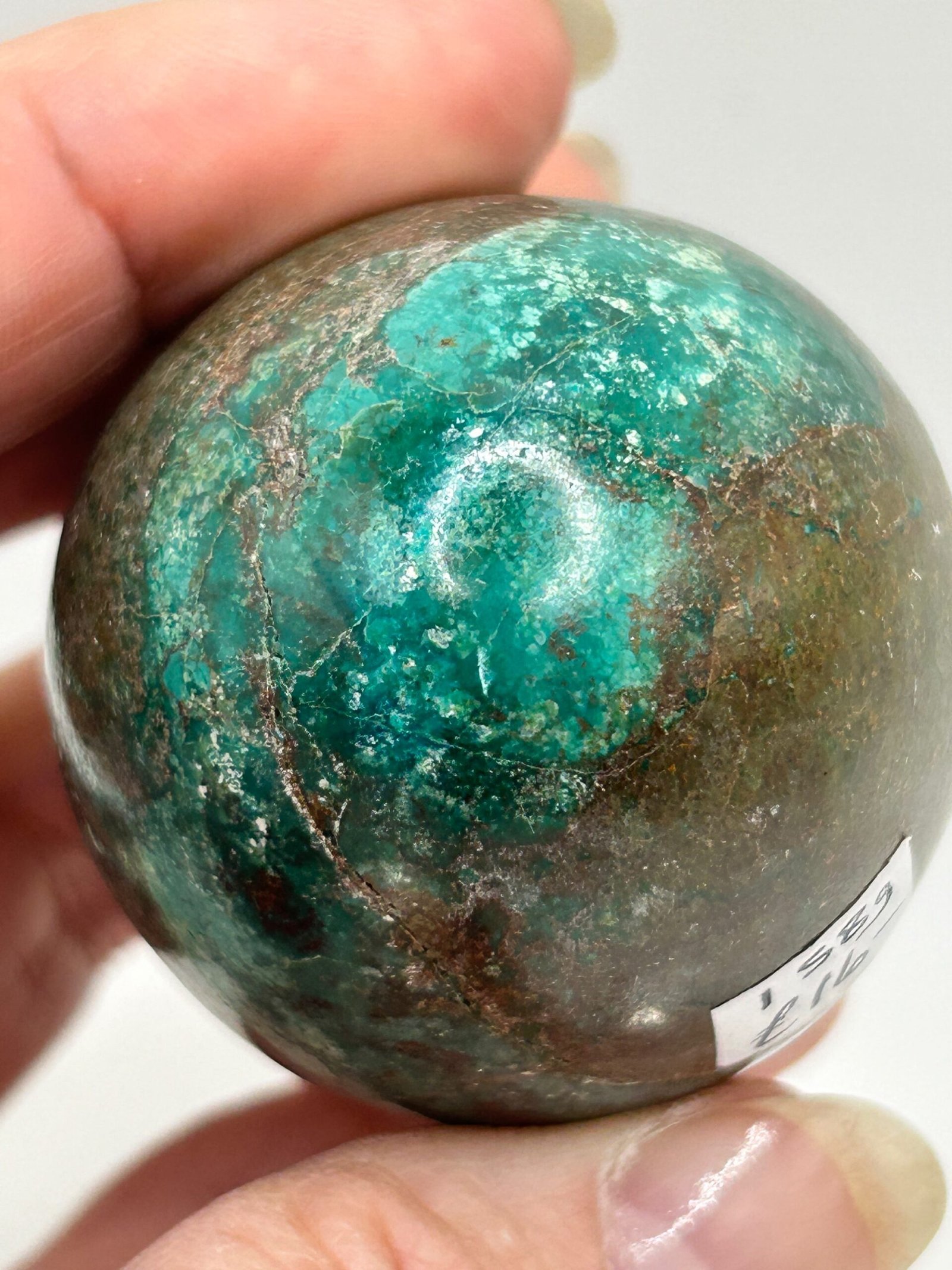 Chrysocolla Egg - Image 6
