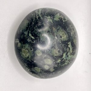 Kambaba Jasper Palm Stone