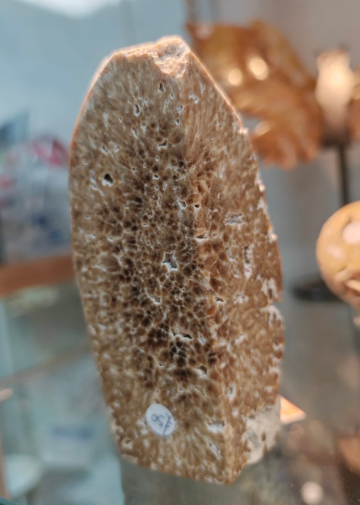 Chocolate Calcite Freeform - Image 2