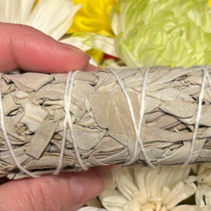 4inch Californian White Sage Bundle