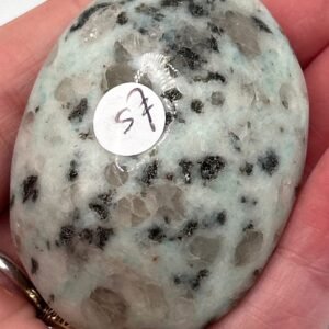 Kiwi Jasper Palm Stone