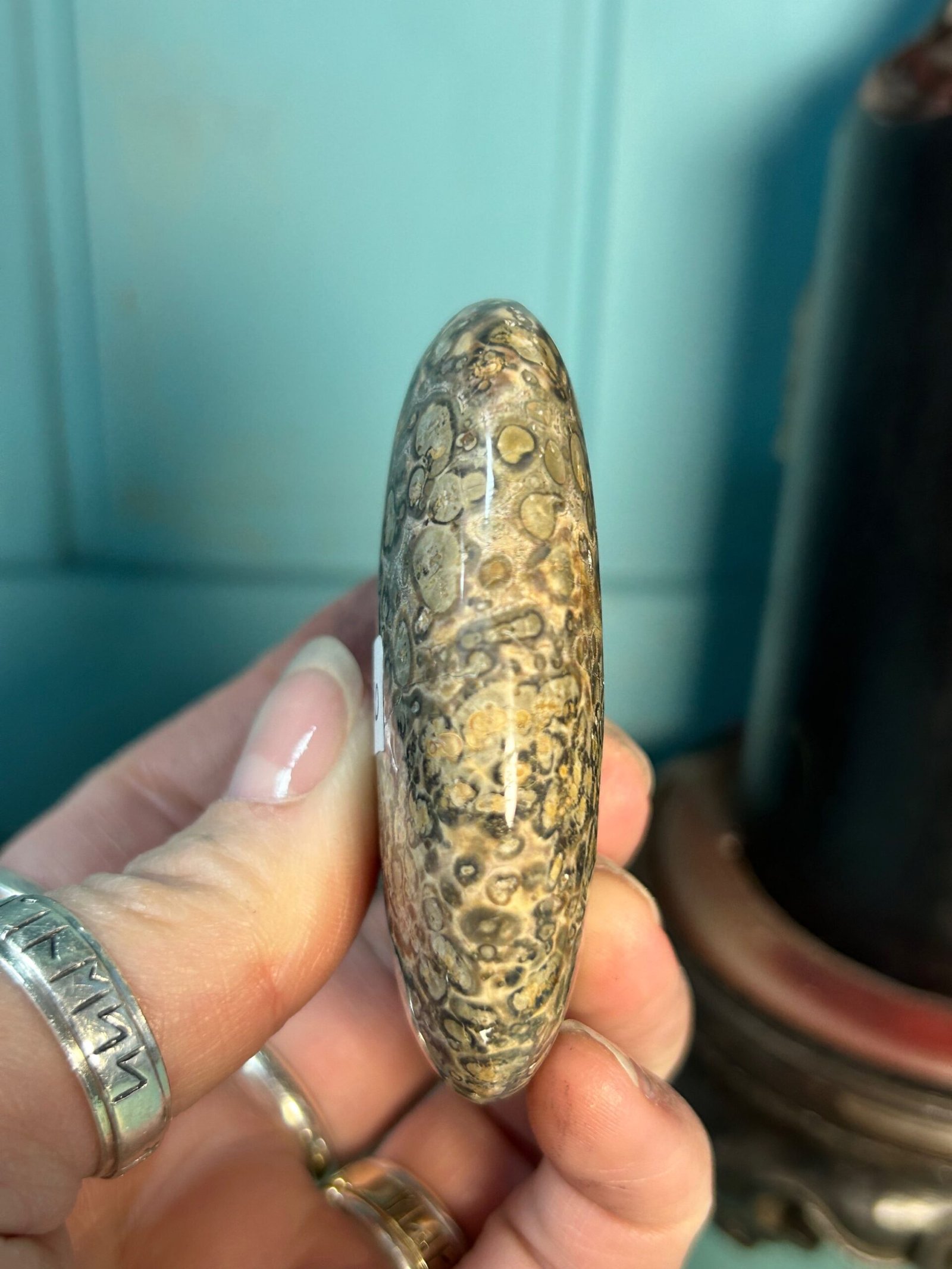 Leopard Skin Jasper - Image 3