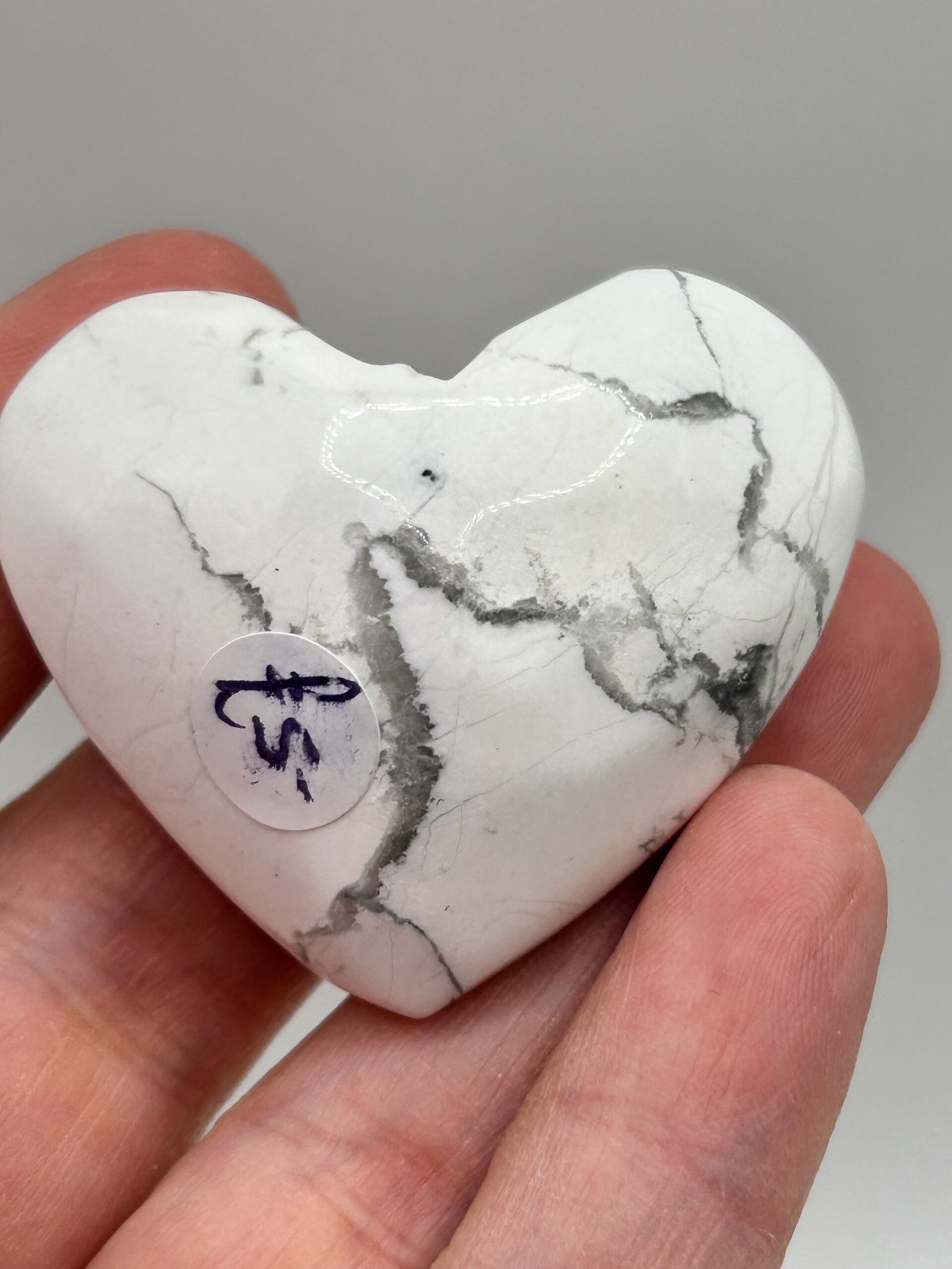 Howlite Heart Palm Stone