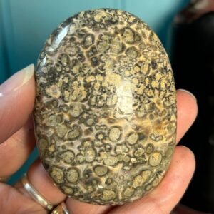 Leopard Skin Jasper