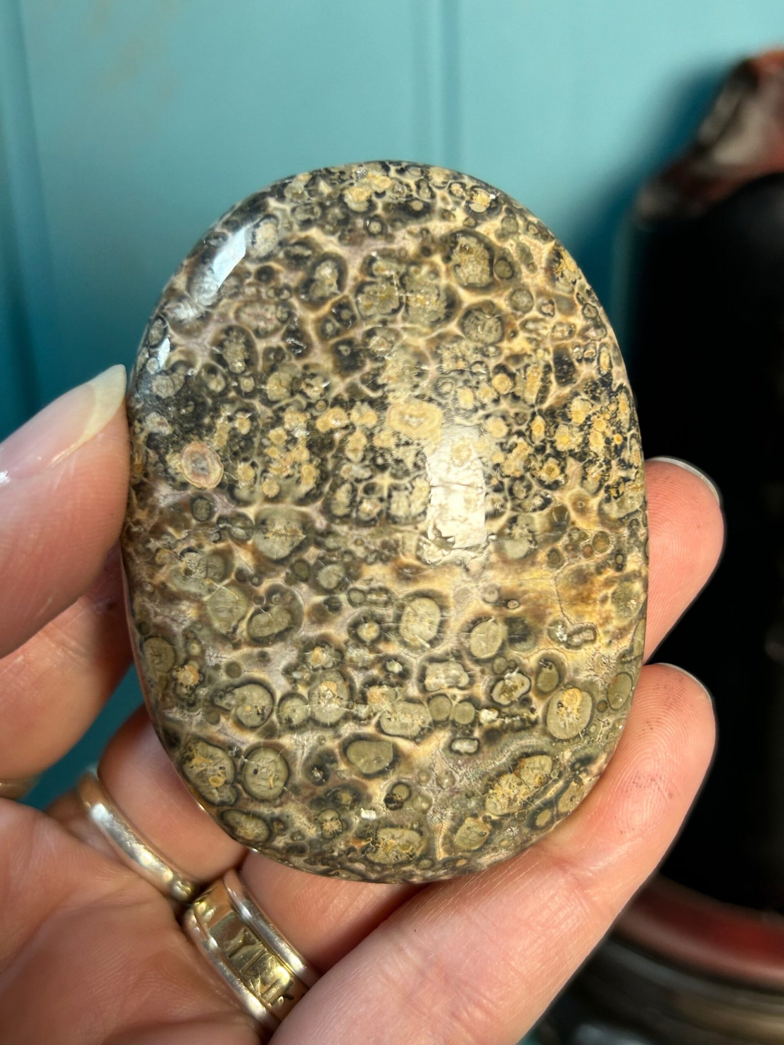 Leopard Skin Jasper