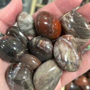 Petrified Wood Tumble Stone