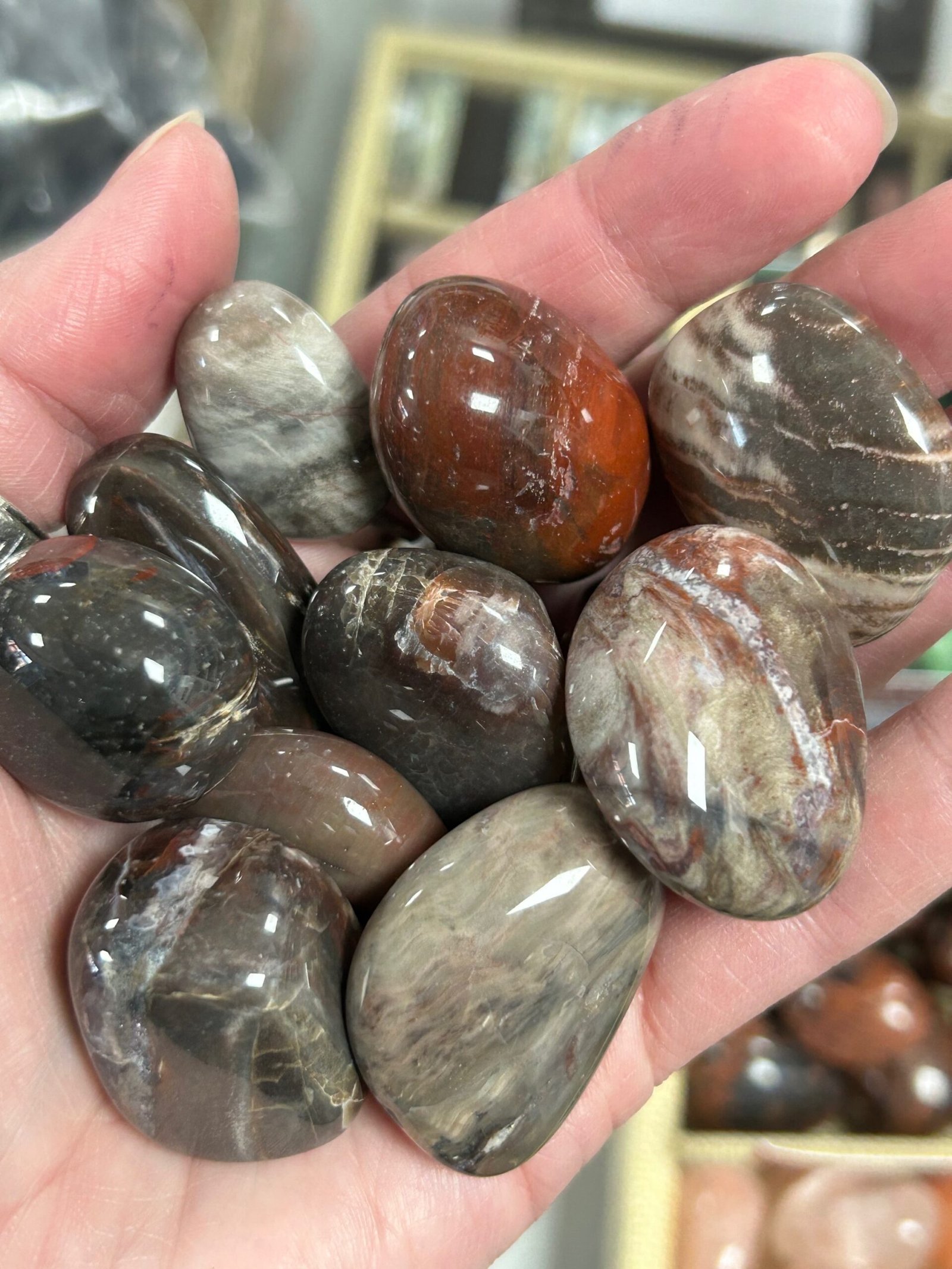 Petrified Wood Tumble Stone