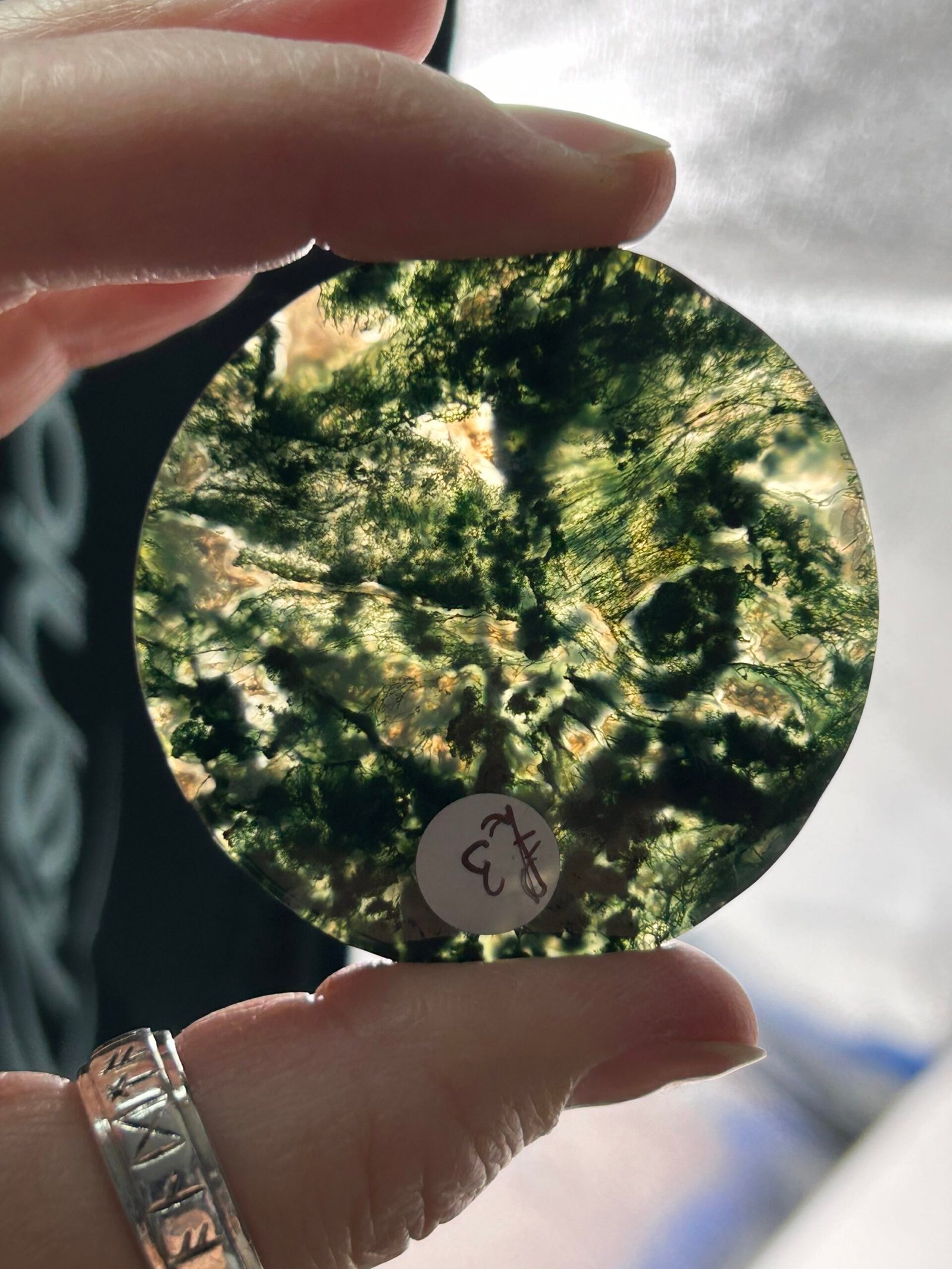 Moss Agate Disc - Image 4