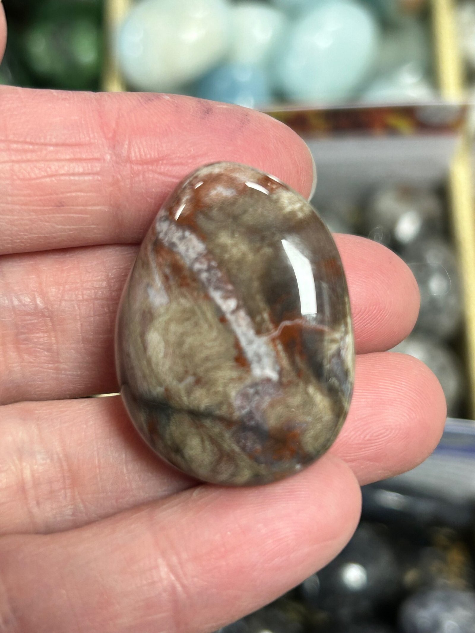 Petrified Wood Tumble Stone - Image 2