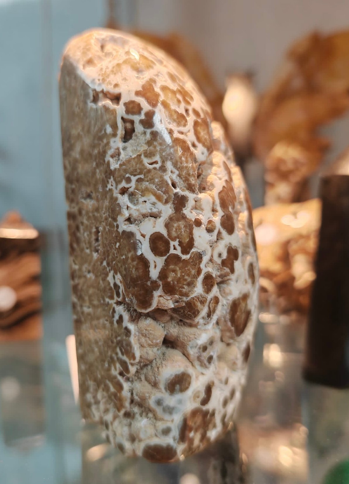 Chocolate Calcite Freeform