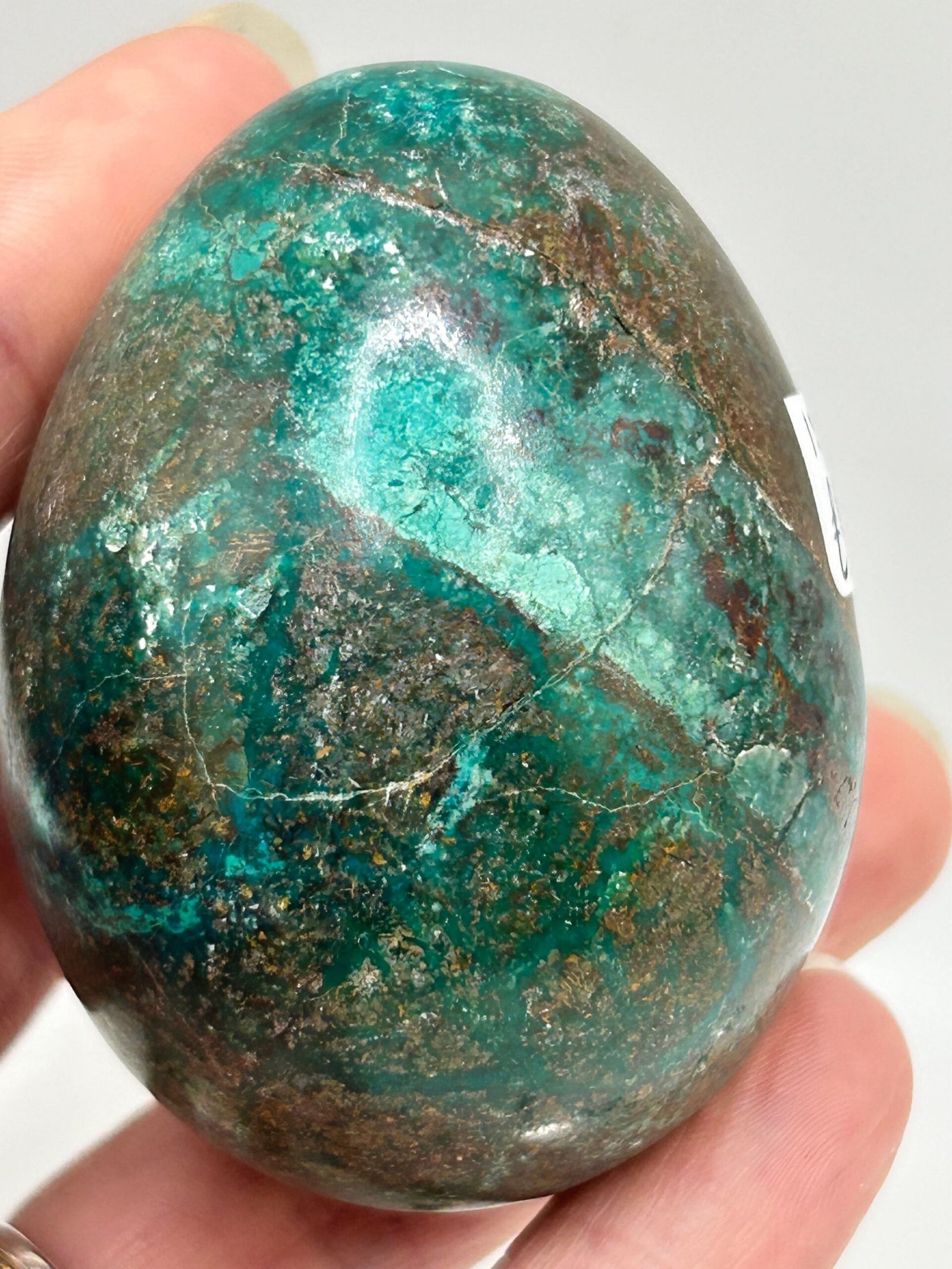 Chrysocolla Egg - Image 4