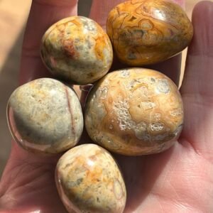 Crazy Lace Agate Tumble