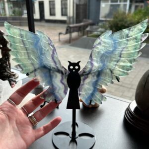 Rainbow Fluorite Owl