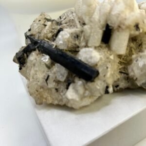Black Tourmaline in Albite and Quartz Matrix