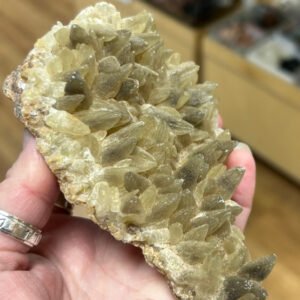 Dogs Tooth Calcite Cluster