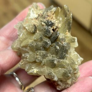Dogs Tooth Calcite Cluster